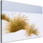 Leinwandbild, Dünen auf goldenem Sand 