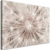 Leinwandbild, Pusteblume Natur Makro 
