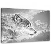 Leinwandbild, Wolf Natur Tiere 