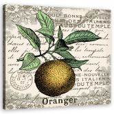 Leinwandbild, Vintage Orange 