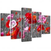 Leinwandbild 5 teilig, Roter Klatschmohn 