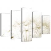 Leinwandbild 5 teilig, Gebläse Blume Natur 