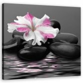 Leinwandbild, Steine ​​rosa Blume Zen 
