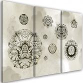 Leinwandbild 3 teilig, Florale geometrische Formen 