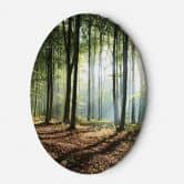 Rundes Leinwandbild Wald bei Sonnenaufgang 