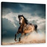 Leinwandbild, Pferd Galopp 