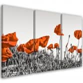 Leinwandbild 3-teilig, Roter Klatschmohn 