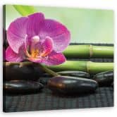 Leinwandbild, Orchidee auf schwarzen Steinen 