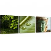 Leinwandbild 3-teilig, Buddha Natur 