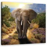 Leinwandbild, Elefant bei Sonnenuntergang 