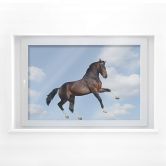 Fensterbild Real acting Horse 