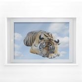 Window sticker real resting tiger 