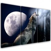 Leinwandbild 3-teilig, Wolf Natur Mond Nebel 