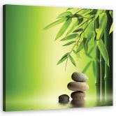 Leinwandbild, Zen Bambus Steine Pflanzen 