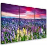 Leinwandbild 3-teilig, Blumenwiese Lavendel Landschaft 