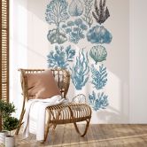 Fototapete Filigrane Algen und Muscheln | Botanische Illustration - casa cartissi 