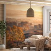 Wall Mural with landscape - Birch trees in the golden morning dew - Cui 