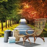 Fototapete Herbst - 336x260 cm 