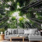 Papier peint photo Hugonnard - Forêt au Japon 