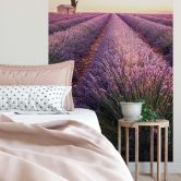 Wall Mural – Lavender 