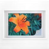 Raamfolie Tropical Lily 