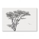 Glasbild Minimalistischer Baum in ruhiger Landschaft - Flour 