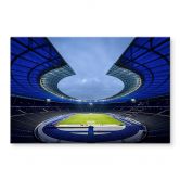Glasbild Hertha BSC Blaues Olympiastadion 