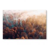 Glasbild Herbstwald im Nebel - Ioricon 