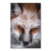 Glasbild Tierporträt Rotfuchs - Nagi 