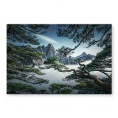 Glasplaatje dennenbos in het Huang Shan-gebergte - NingYun Ye 