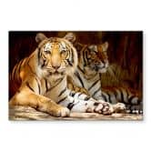 Glasbild Zwei Königstiger 