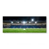 Glasbild 1. FC Magdeburg - Stadion bei Nacht - Panorama 