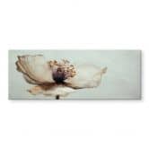 Glasbild Zarte Trockenblüte in Beige | Florale Wandkunst fürs Wohnzimmer - Treechild - Panorama 