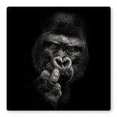 Glasbild Meermann - Der Gorilla - Quadratisch 