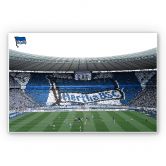 Leichtes Wandbild Hertha BSC - Spielstart im Stadion | mattes Finish 
