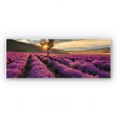 Wanddecoratie Lavendel in de Provence 