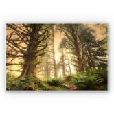 Tableau Forex - Forêt enchantée 