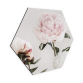 Hexagon - Alu-Dibond 1X Studio - Drei blühende Pfingstrosen 