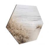 Hexagon - Alu-Dibond 1X Studio - Dünen am Strand 