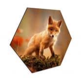 Hexagon - Alu-Dibond Adamec - Junger Fuchs im Wald 