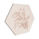 Hexagon Wandbild Zweig der Akazie in Mokkafarben - Anis Illustration - Alu-Dibond 