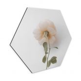 Hexagone - Alu-Dibond Annie - Les roses 