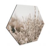 Hexagon - Alu-Dibond Annie - Gräser 