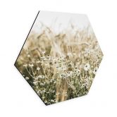 Hexagon Wandbild Sommerwiese mit Kamille - Annie - Alu-Dibond 