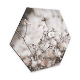 Hexagon - Alu-Dibond Annie - Wildblumen 