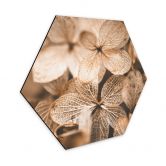 Hexagon - Alu-Dibond Annie - Zarte Blüten 