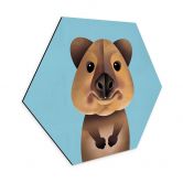Hexagon Wandbild Quokka - Alu-Dibond - Braun 
