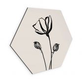 Hexagon Wandbild Line Art Mohnblume - Cats & Dotz - Alu-Dibond 