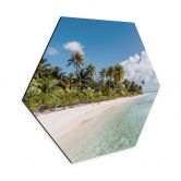 Hexagon Wandbild Palmenstrand in der Südsee - Colombo - Alu-Dibond 