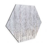 Hexagon Wandbild Birkenwald im Winter - EMELIEmaria - Alu-Dibond 